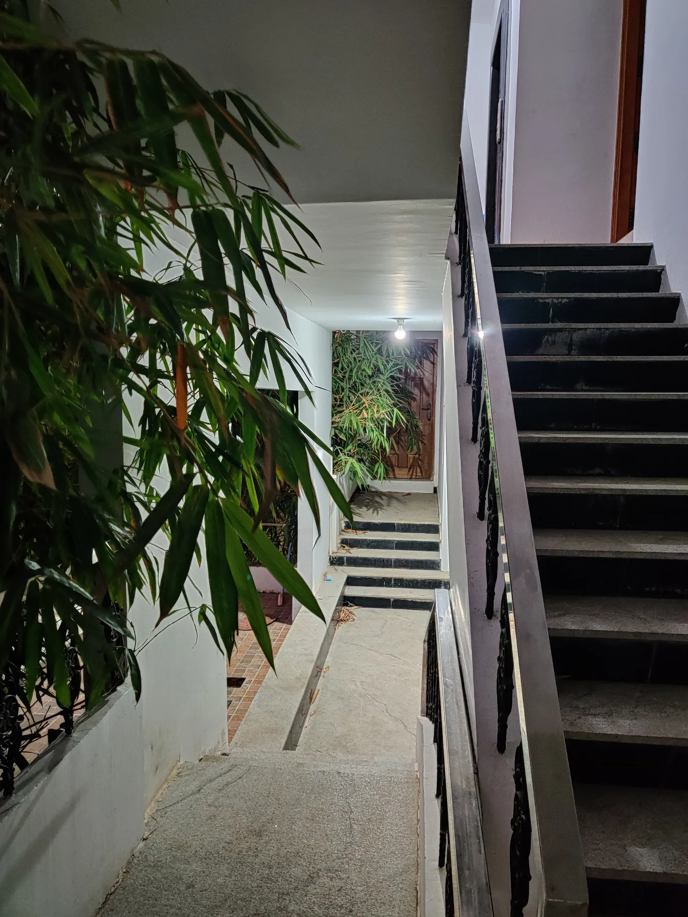 Naren's Bahuleya project image 4